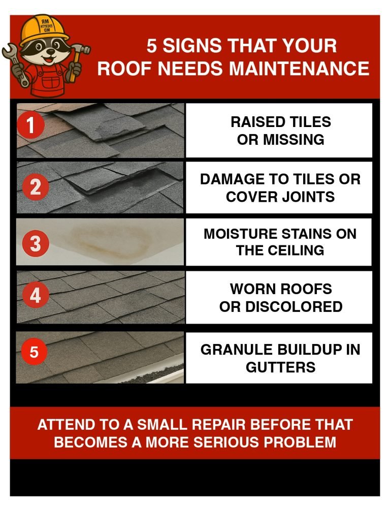 "Roof remodeling and maintenance services in Maryland by Mr Everything MD Construction."